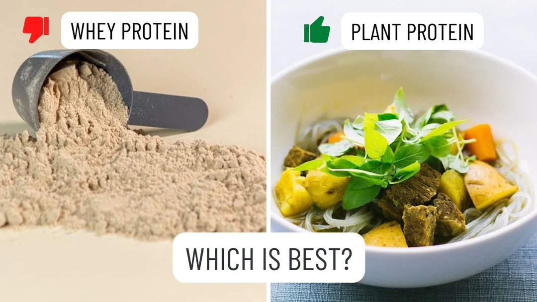Green Protein Powder vs. Whey Protein Powder: A Comparison